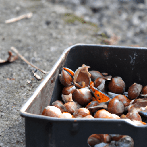 Der Nutzen von Nützlingen im Garten und wie man sie anlockt