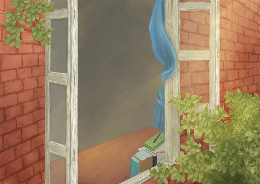 window, leaf, nature